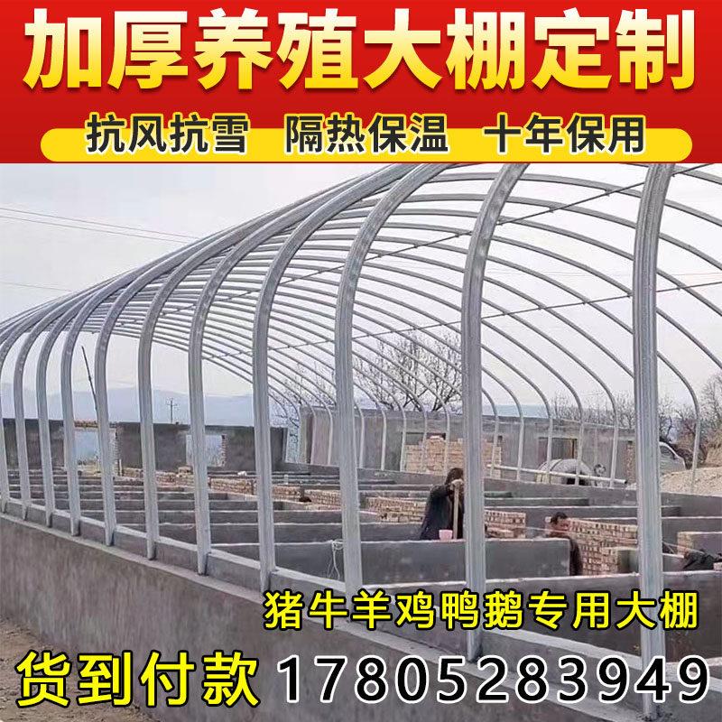 大棚骨架钢管全套温室蔬菜拱杆支架种植养殖椭圆管仓库育苗棚钢架