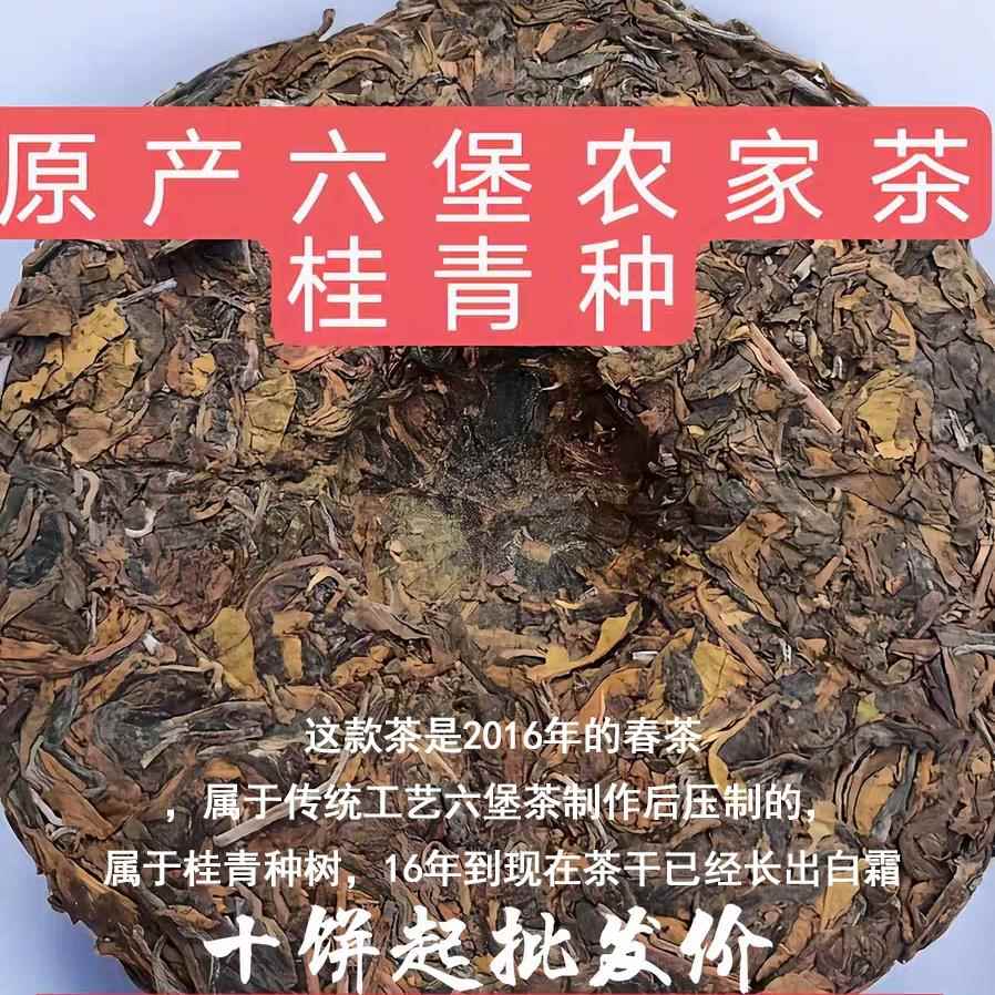 广西梧州六堡茶农家茶生茶2016桂青种茶饼350克一饼好喝送礼佳品