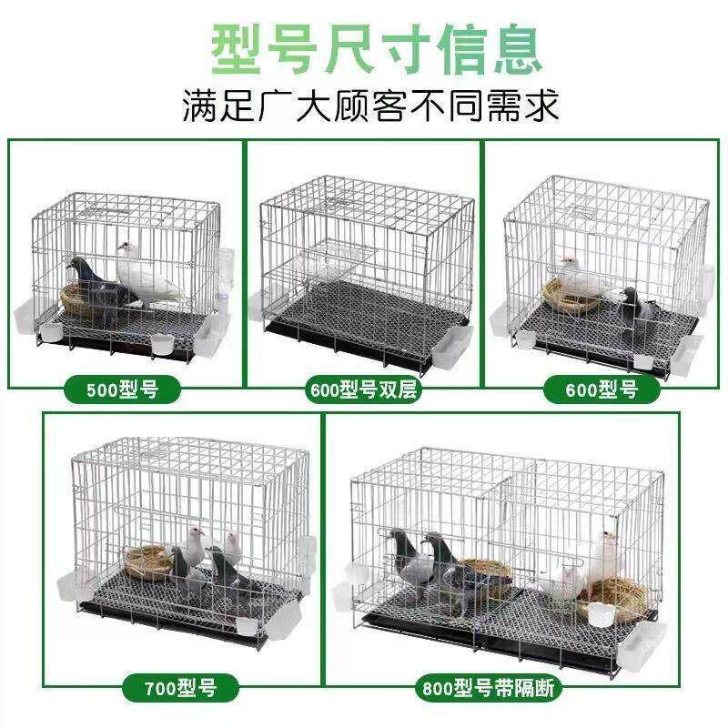 大号加粗鸽子用品用具12位16位养殖鸽子笼信鸽配对笼肉鸽繁殖笼子