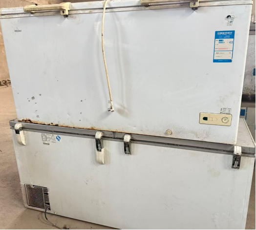 12月31日哈尔滨移动2025年第四批废旧物资标段1网络拍卖公告