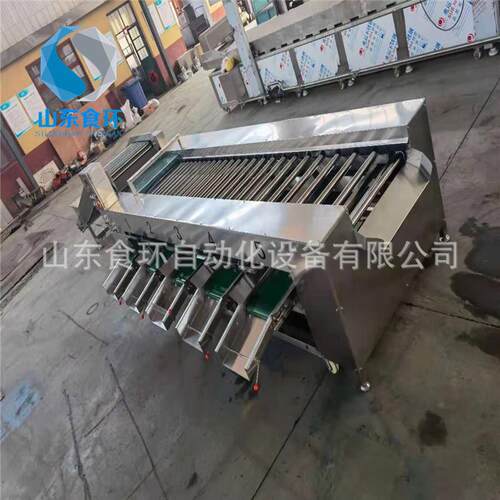 西红柿牛油果选果机水果自动选果机百香果选果机果蔬设备