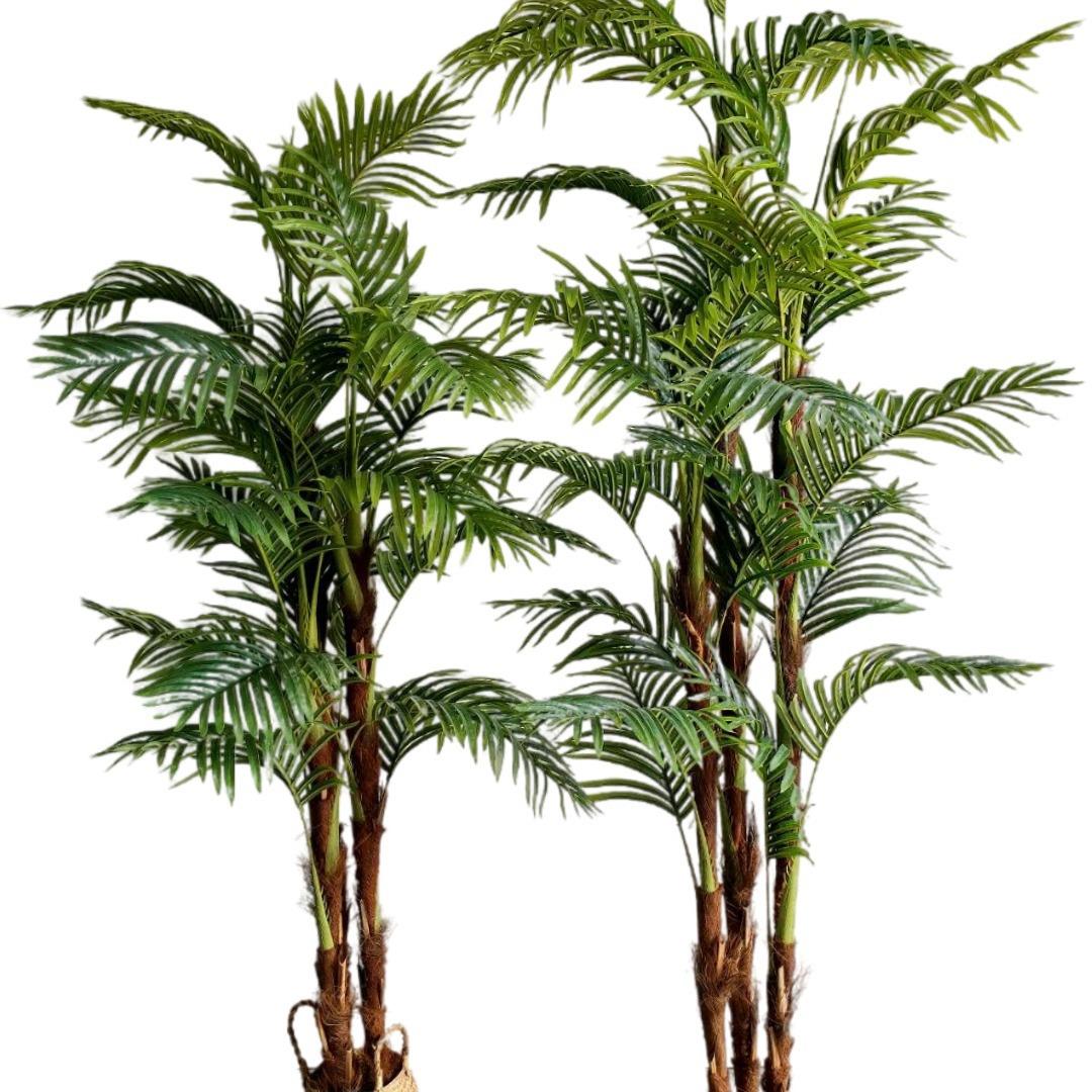 仿真散尾葵绿植装饰商场家居盆栽凤尾葵落地植物细竹葵仿真棕毛葵