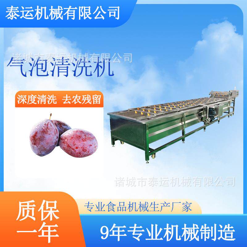 桃子气泡清洗机上海青鼓泡清洗流水线青脆李洗菜机小白菜清洗机器
