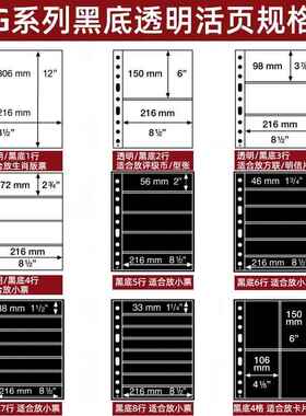 lighthouse德国灯塔原装进口G系列1-8行透明/黑底活页PMG评级纸币钱币人民币纪念钞券币收藏集邮册邮票插页