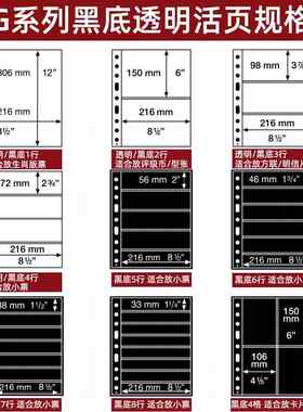 lighthouse德国灯塔原装进口G系列1-8行透明/黑底活页PMG评级纸币钱币人民币纪念钞券币收藏集邮册邮票插页