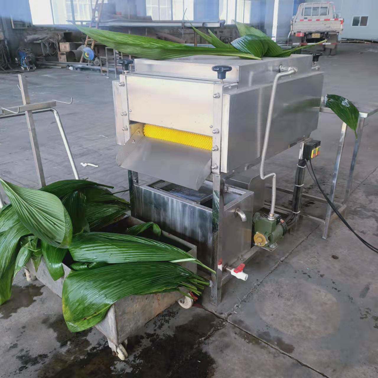嘉兴粽叶清洗机水循环过滤洗粽叶机器全自动桲椤叶竹叶洗菜机厂