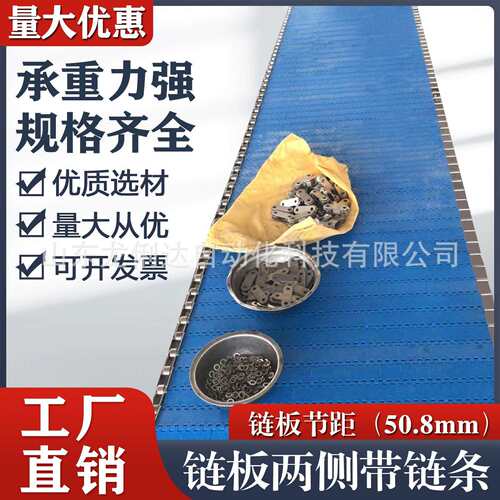 OPB节距50.8平板网带两侧加不锈钢链条pp食品级塑料链板输送带