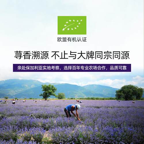 新款辅荨尔高地真正薰衣草精单方0油毫升1痘痘修护按摩粉刺闭口助