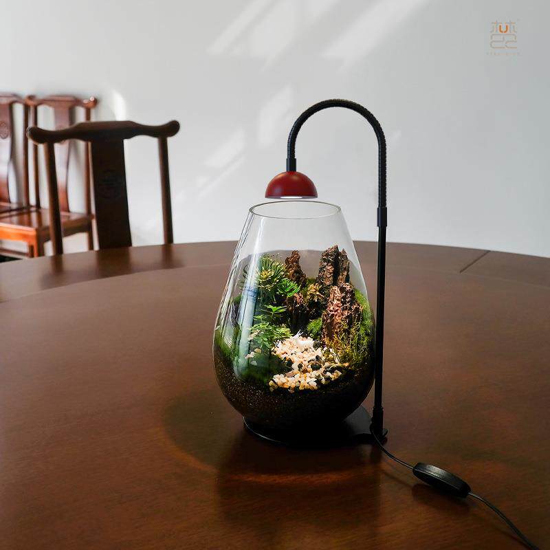 厂家植直营梵农小红帽生植物灯LXZ微景观灯物生荫长苔藓灯植物补