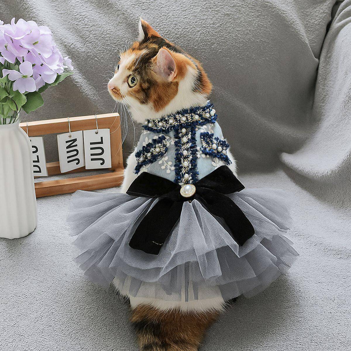 宠物礼迪服装宠物衣服小狗猫咪公婚主婚纱裙1688-1子集合泰比熊雪