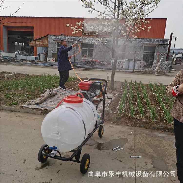 汽油虫170大型号射程农高417压喷雾器 药喷雾机 果园蔬菜除打药机,农机/农具/农膜,植保机械,淘宝优惠券,粉丝福利购,淘宝优惠卷