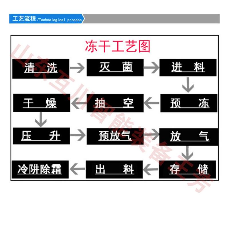 5真空干燥方西兰花包菜洋葱全平自动冻干机 0芦干笋菠菜蘑菇大型