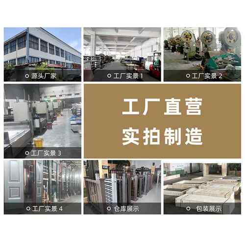 小区家用入户盗门门OWY现代简约双精雕单门子开母铸铝别墅大防门