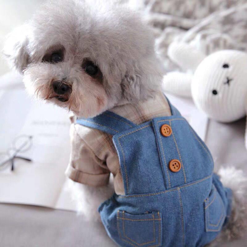 狗狗衣服雪纳瑞宠物比熊小型犬泰迪薄款春装春夏四脚衣牛仔背带