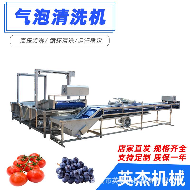全自动果蔬清洗机青椒辣椒清洗机食品厂304不锈钢气泡喷淋洗