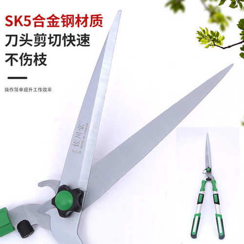 厂家批发两用鸟嘴家用草坪剪修花修枝剪户外园林不锈钢果枝树枝剪