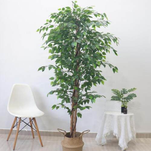 绿植假榕树幸仿7883真地福树植物商场酒店大客厅摆件落花艺布景装