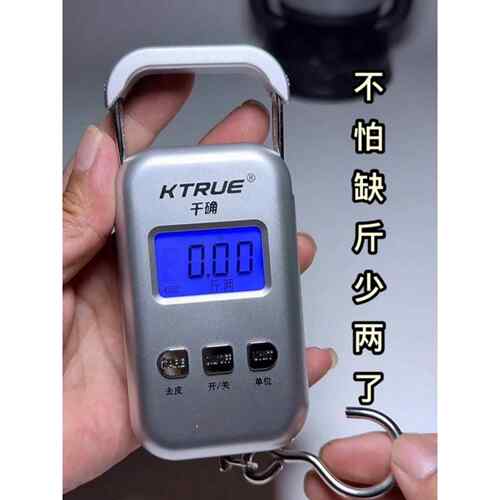 手提电子秤便携式高精度小型克秤家用迷你买菜勾称行李快递弹簧称