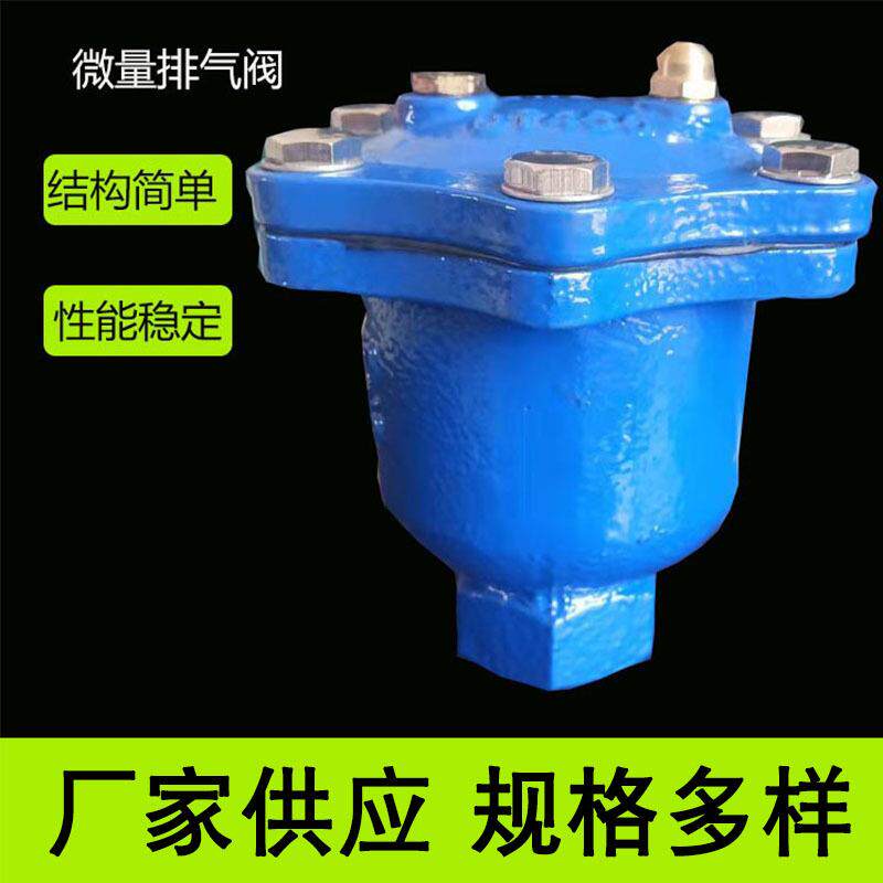 球墨铸铁ARVX微量排气阀自动丝扣排气阀排气阀