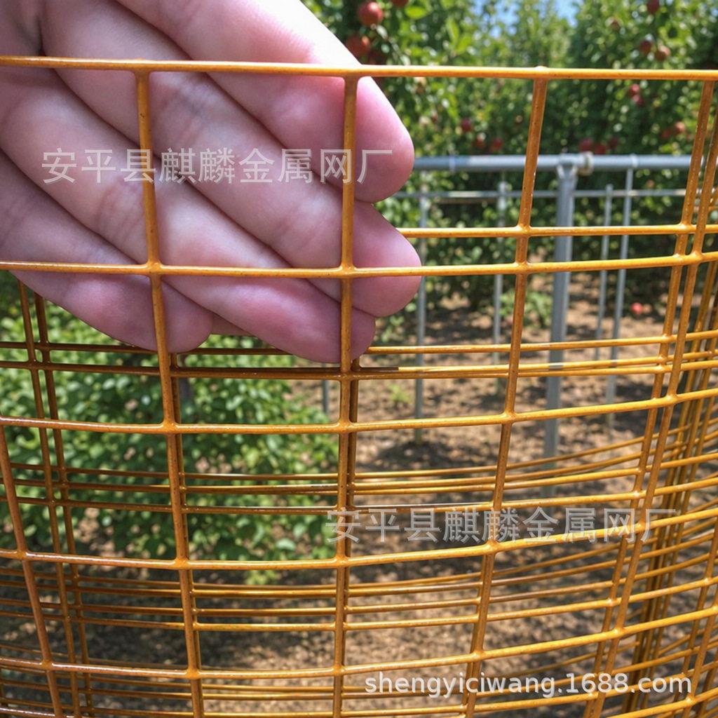 黄色铁丝网/浸塑黄色荷兰网/铁丝网围栏养殖养鸡果园护栏防护栅栏