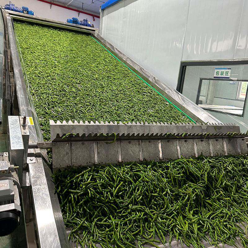 网带蕨根烘干机 大型拳头菜蕨菜根烘干流水线 山野菜脱水烘干设备