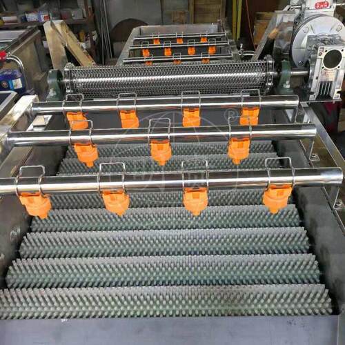 蔬菜气泡毛辊清洗机 菠菜毛刷除毛发机器 连续涡流洗菜机器