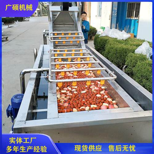 全自动气泡水果清洗机草莓樱桃清洗设备车厘子葡萄桃子洗果机