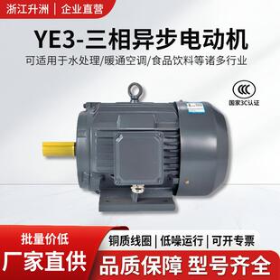 YE3三相异步电动机电机水泵风机小基座大功率机床配套厂家