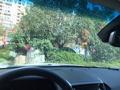 龙膜车膜怎么样?2020款使用心声反馈