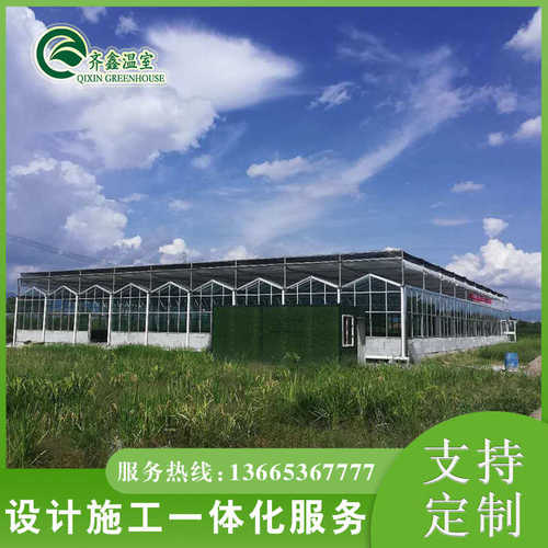 阳光板温室大棚建设文洛式太阳能光伏温室大棚设计建设安装
