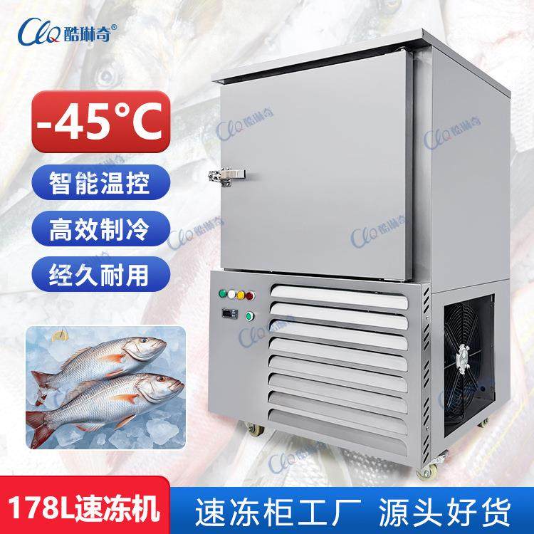 -45度食品级低温小型海鲜鱿鱼带鱼速冻柜饺子包子速冻机直销