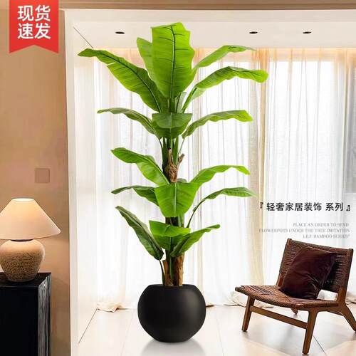 仿真大叶芭蕉树香蕉树热带景观植物落地绿植假树室内客厅摆件大型