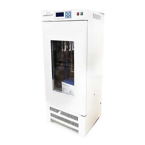 MJX-250B霉菌培养箱 实验室霉菌培养箱 细菌微生物培养箱