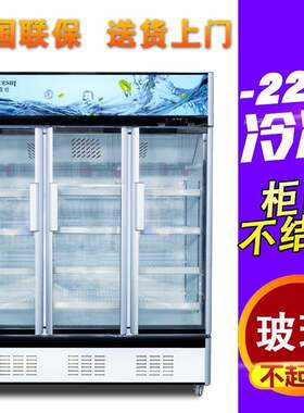 立式冷冻冰柜冷冻食材超市预制菜冷柜速冻榴莲风冷冻展示柜