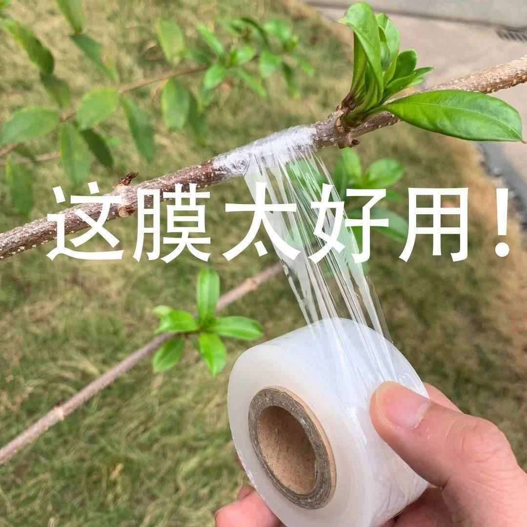 多用膜盆景保鲜膜保护膜密封捆绑月季嫁接树苗胶带簿膜缠绕