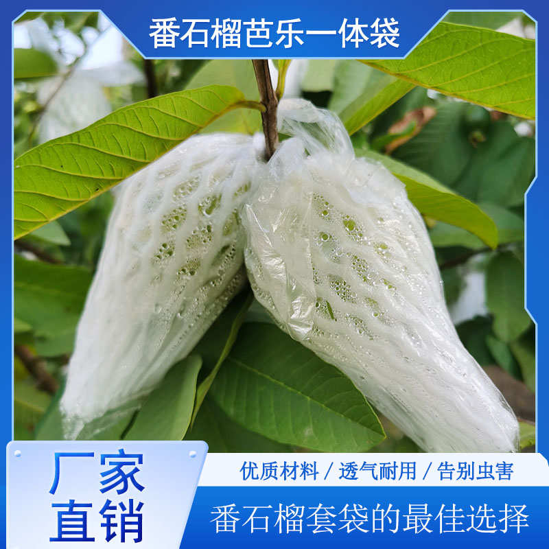 网袋专用一体泡沫包装袋番石榴套袋石榴加厚袋芭乐水晶梨杨桃网套