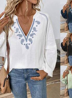 Famous ethnic style V-neck embroidered top