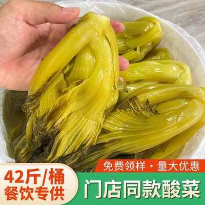 做酸菜鱼的小叶酸菜广东菜整颗腌制老坛酸菜鱼商用官方旗舰店