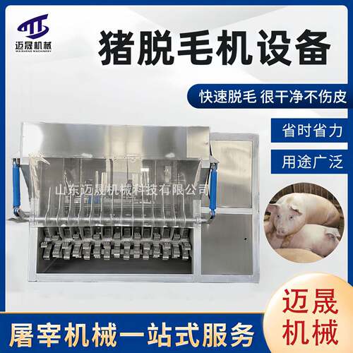 生猪屠宰设备刨毛机 大型捞耙母猪打毛机 全自动整猪脱毛机