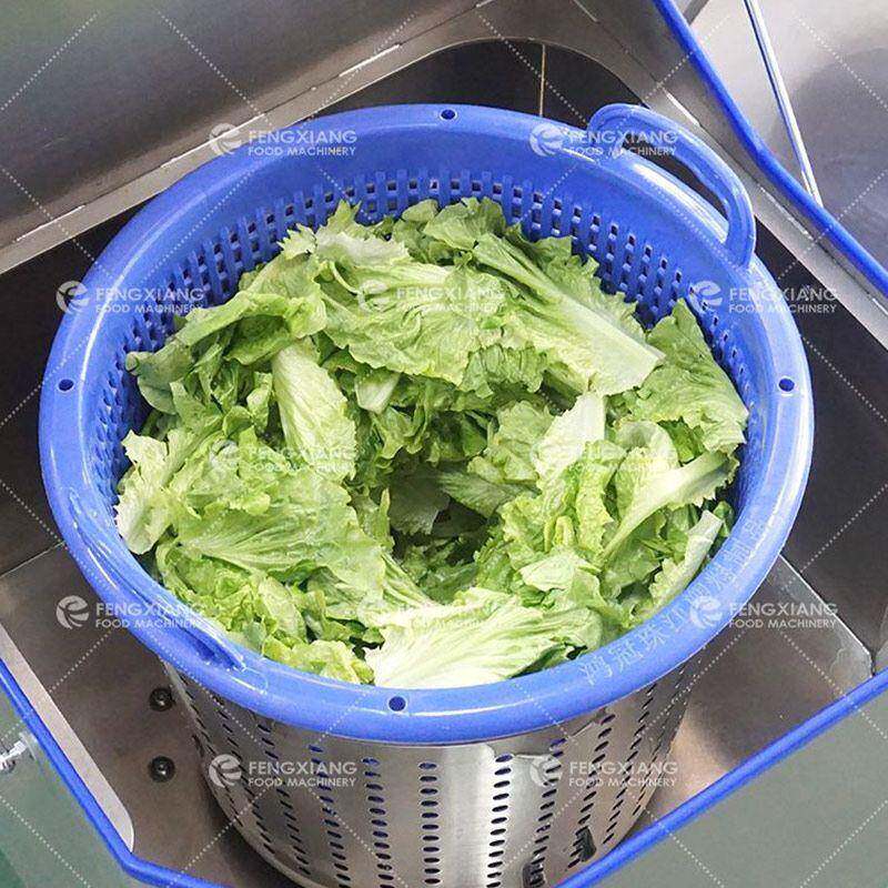 叶菜青菜脱水机 甩水设备 果蔬加工设备 品牌 价格优惠