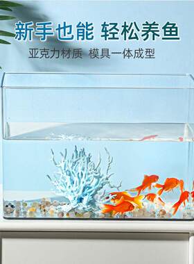 有盖鱼缸客厅家用水族箱高透自循环小型造景生态创意养鱼缸乌龟缸