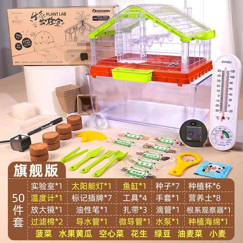 生态实验室套装儿童室内种植游戏幼儿园植物科学实验现货