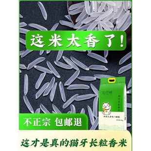 10kg 稻巴赫猫牙米泰国香米长粒香大米2024年新米煲仔饭丝苗米5kg