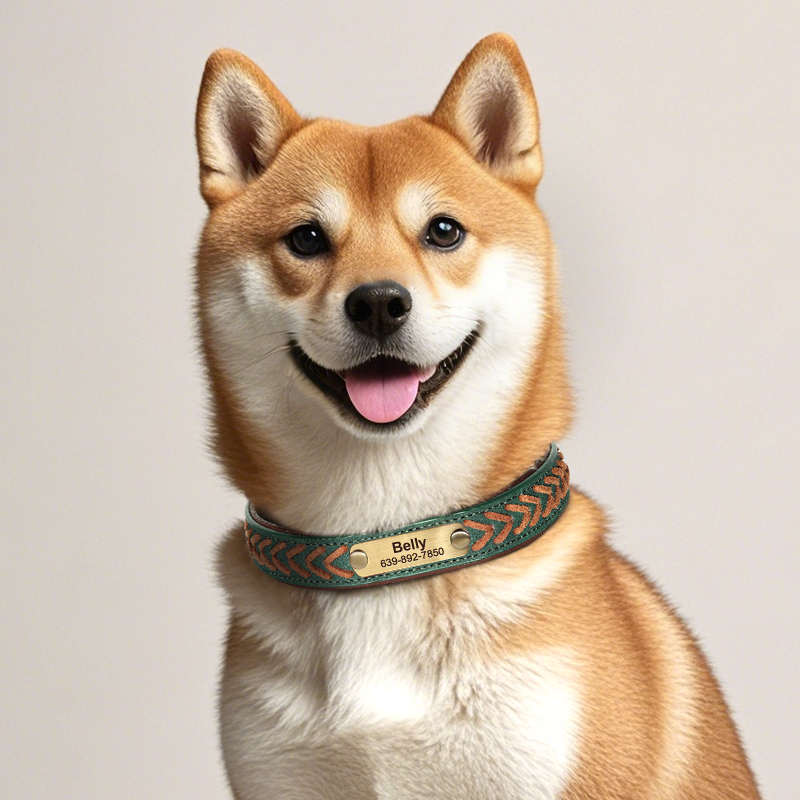 狗脖圈狗狗刻字项圈狗牌定制小狗防丢失中型犬外出遛狗狗颈圈狗绳