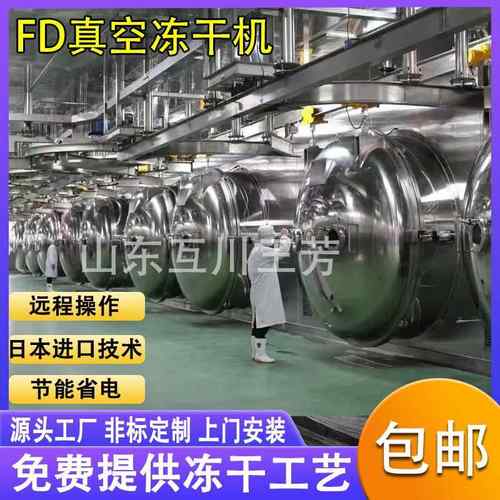 冻干咖啡粉食品干燥机设备 商用大型100平方米果蔬脆FD真空冻干机