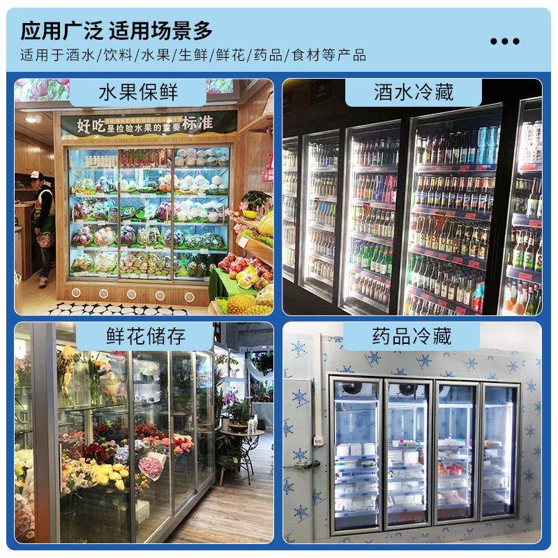 可定制后补式冷库全套设备冷藏保鲜展示柜多功能玻璃门鲜花库