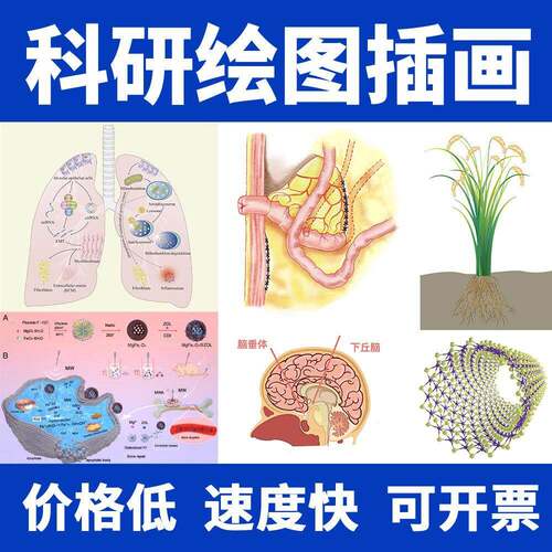 科研画 画图封面设计SCI医学插图画 画图origin图文摘要美化机制