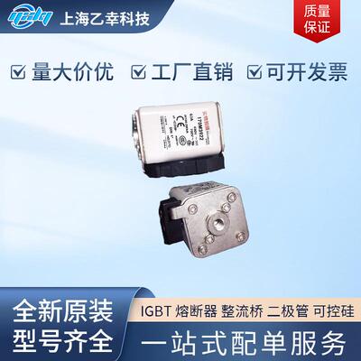 巴斯曼熔断器 170M3974 170M3975 170M3981 170M3982 170M3983