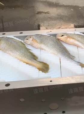W加工鲜带鱼切段机 鲤鱼切段机带鱼切块机刀鱼鳕鱼切片机水产加工