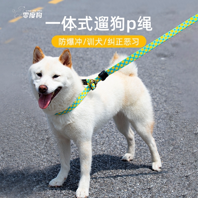 p绳项圈防爆冲狗狗牵引绳大中小型边牧柴犬金毛遛狗训练成幼犬p链